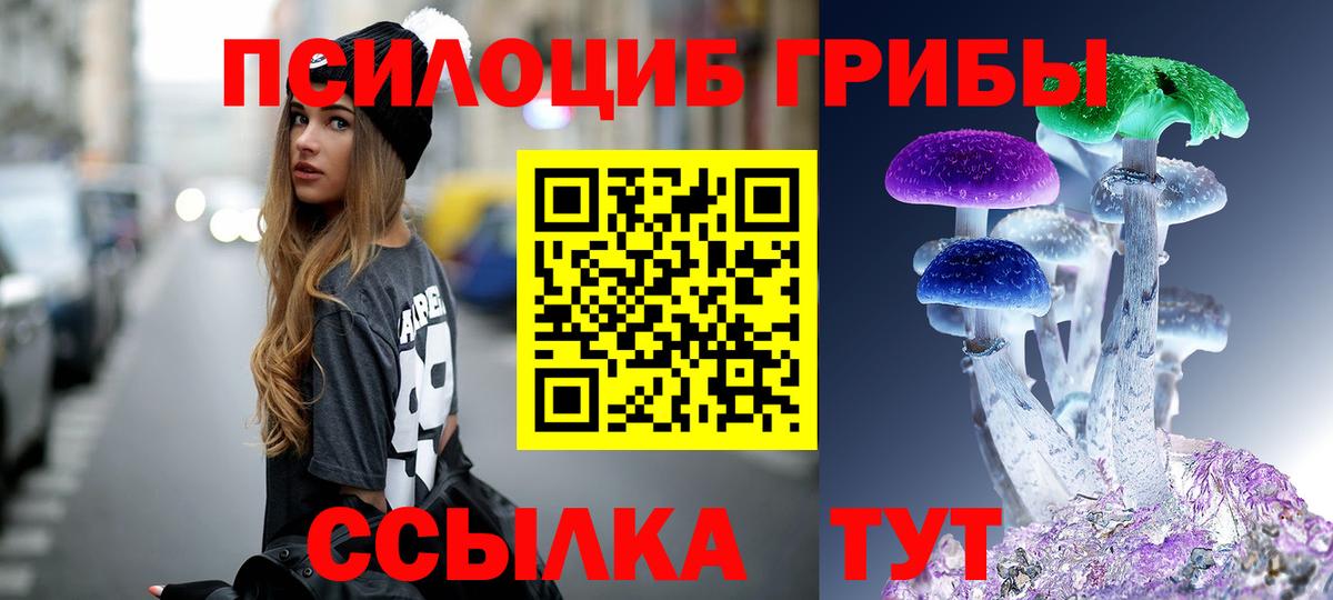 Галлюциногенные грибы Psilocybe  Вход с VPN  Донской 